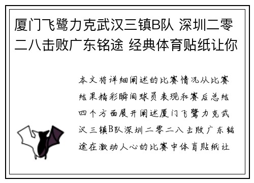 厦门飞鹭力克武汉三镇B队 深圳二零二八击败广东铭途 经典体育贴纸让你更靠近现场
